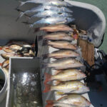 Fishing - Rogel Adventures