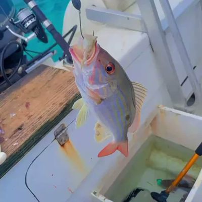Fishing - Rogel Adventures